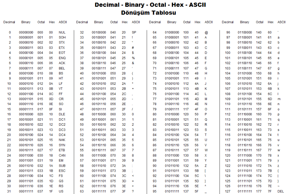 Binary Browser